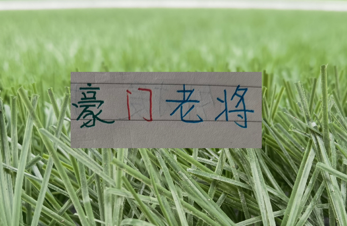 中超三轮老将状态大比拼：武磊扛起海港，张稀